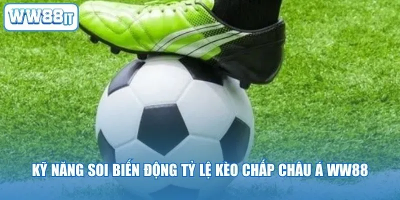 Kỹ năng soi biến động tỷ lệ kèo chấp châu Á WW88