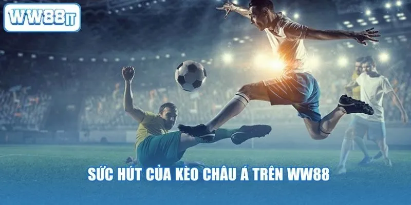 Sức hút của kèo châu Á trên WW88