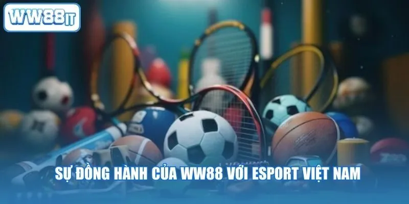 Sự đồng hành của WW88 với Esport Việt Nam